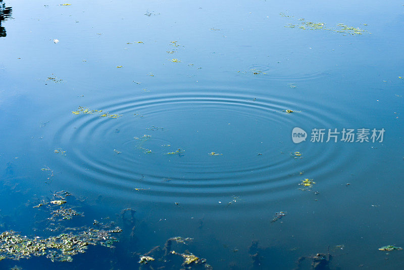 湖水在蓝色的湖面上泛起涟漪，泛起一圈又一圈的涟漪