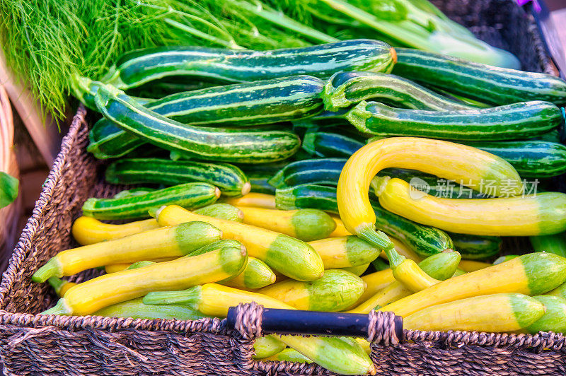 农贸市场的西葫芦-什锦黄绿西葫芦和南瓜