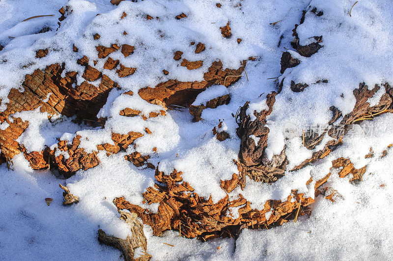 最近一场暴风雪后彩色地面的特写