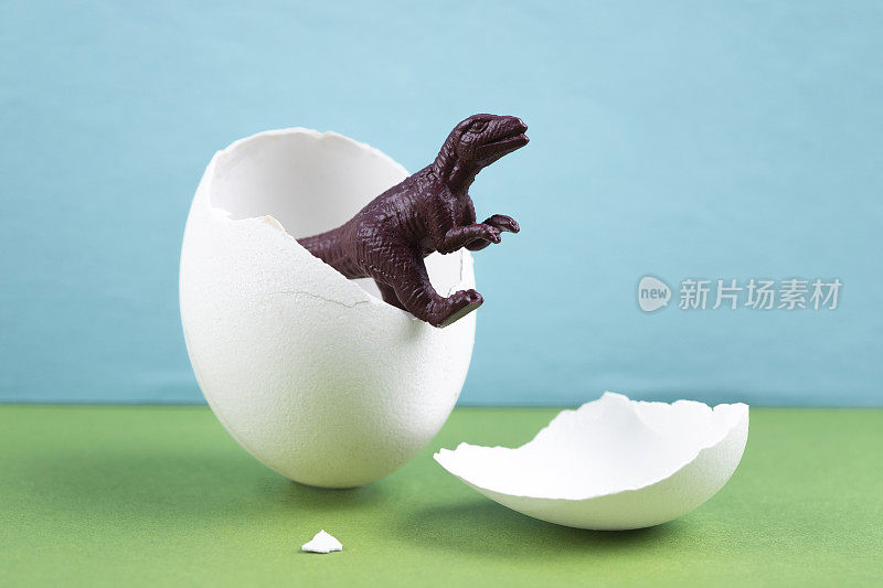 从蛋里钻出来的恐龙