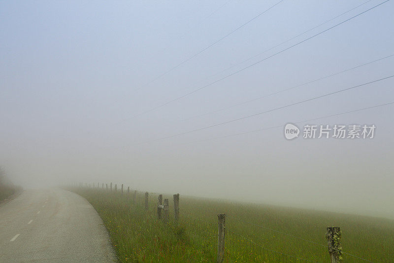 雾中的道路