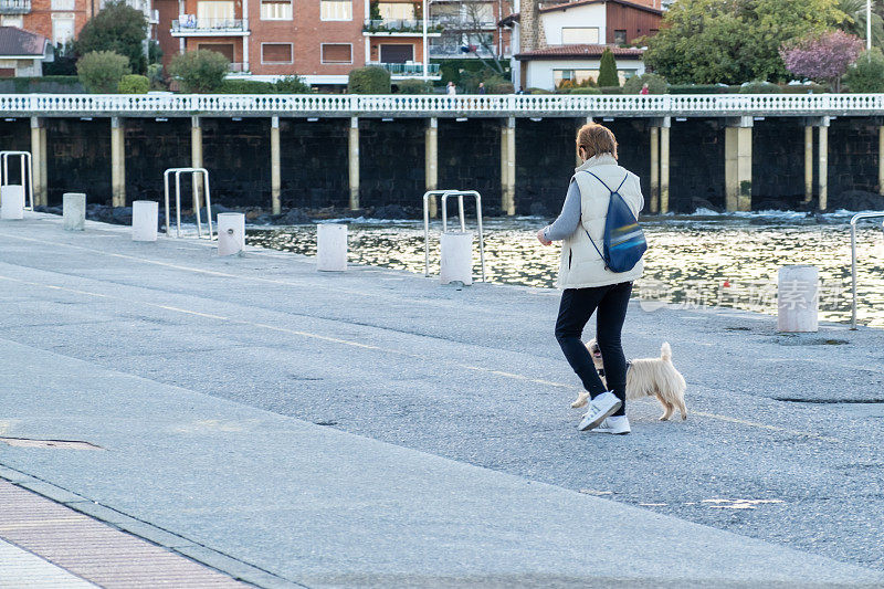 老妇人带着她的狗在海边散步