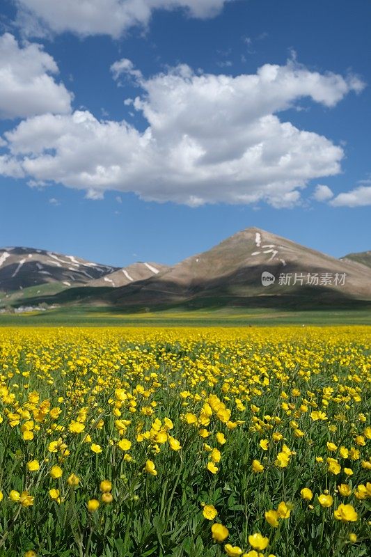 雪山脚下的春景