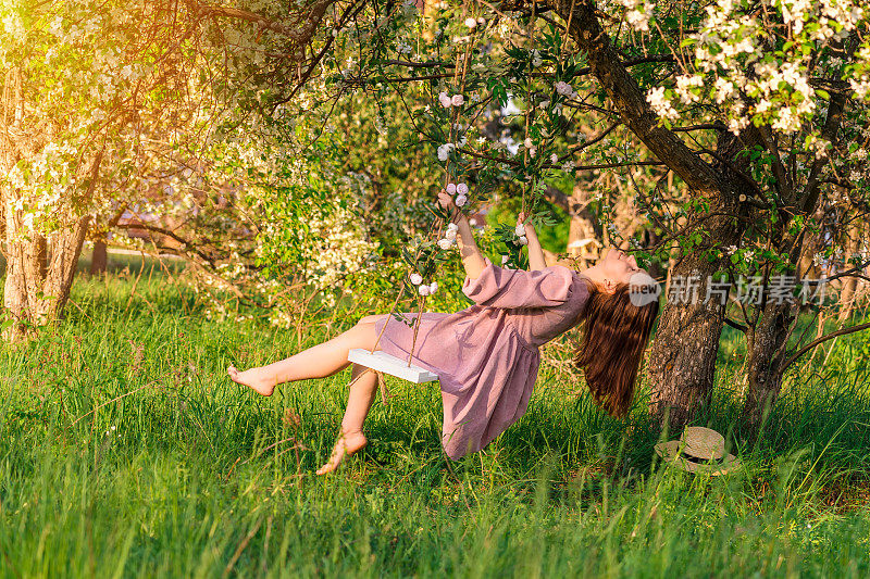 一个身着紫色连衣裙的黑发女子在苹果园的秋千上荡秋千