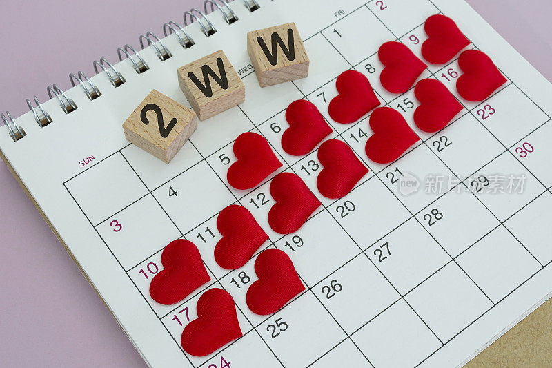 2WW字木版与红心形状日历。两周等待的概念