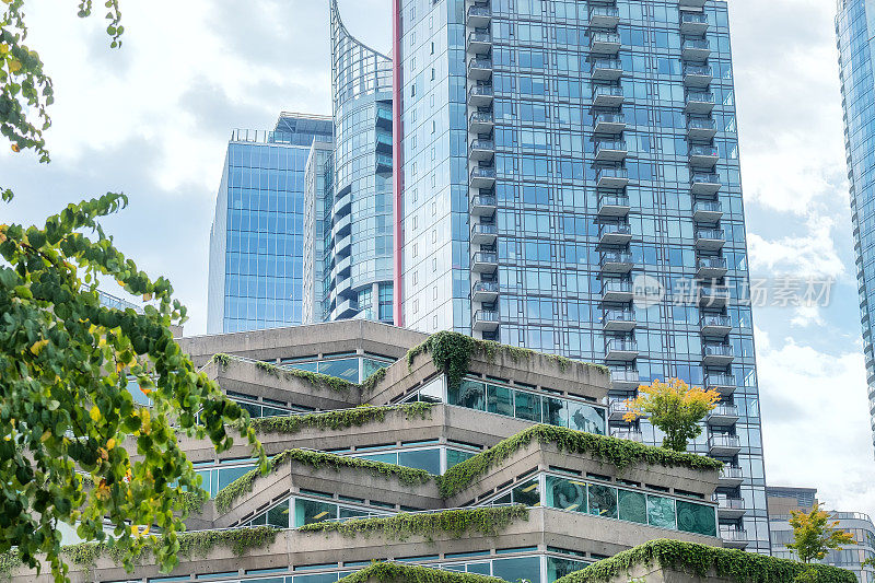 种植的梯田办公楼与酒店，公寓，办公室的背景