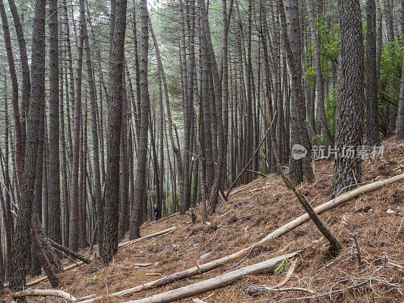 孤独的徒步旅行者在山上徒步