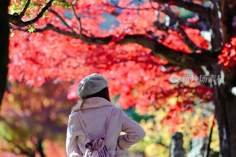 年轻女子享受秋叶