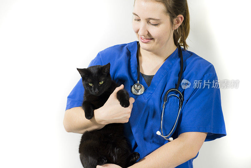 兽医抱着猫