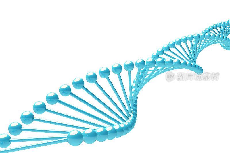 DNA螺旋的3d渲染