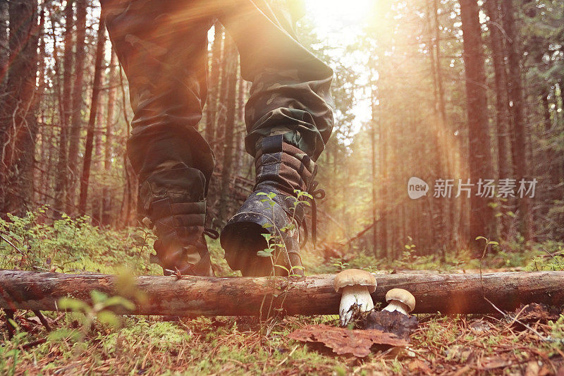 脚在鞋秋天森林远足