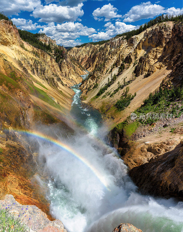 黄石公园大峡谷下瀑布的彩虹