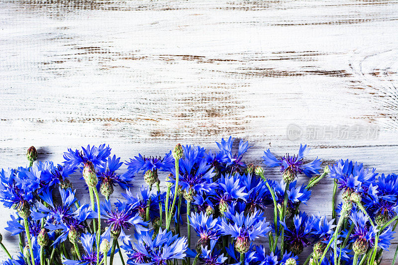蓝色的花朵，木制背景上的夏日野花