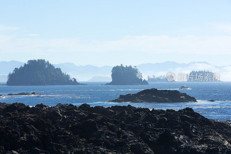 Ucluelet,温哥华岛