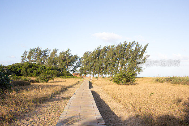 南非夸祖鲁-纳塔尔省的iSimangaliso湿地公园