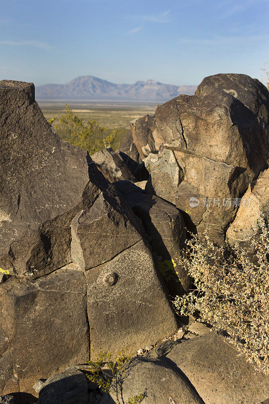 新墨西哥州阿拉莫戈多罕见的本地三维大角岩雕