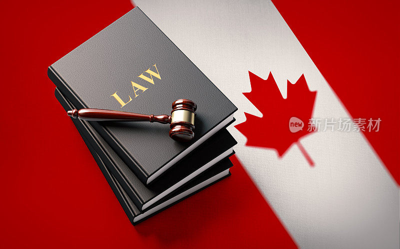 关于加拿大国旗的木槌和法律书籍:加拿大司法概念