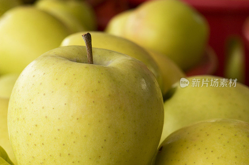 苹果特写金色美味的背景在绿色