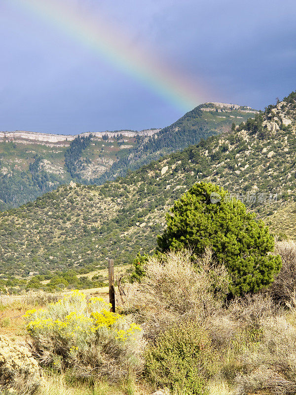 风景彩虹沙漠山