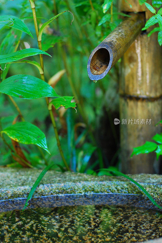 日本花园:竹水喷泉