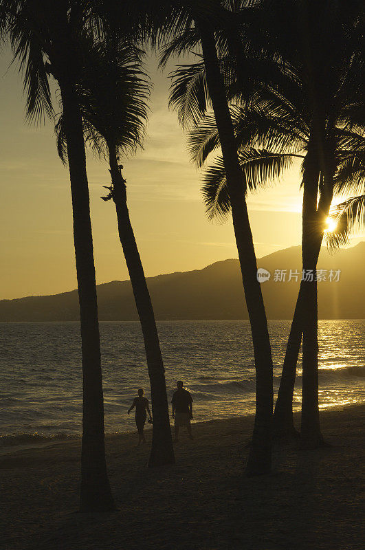 热带海滩上的人们和棕榈树