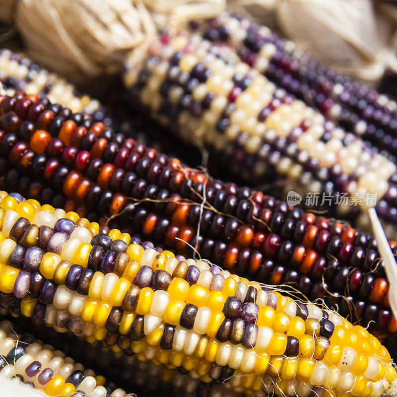乡村集市上的印第安玉米