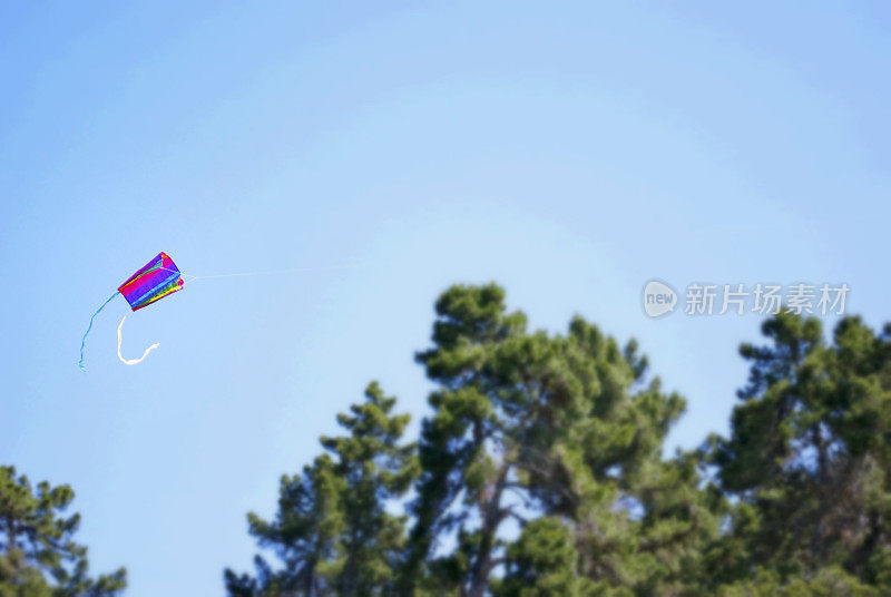天空中的风筝象征着自由(滤镜图像)