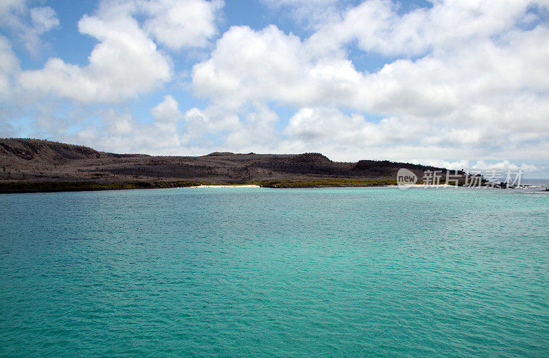 加拉帕戈斯群岛:圣达菲岛的岩石海岸线