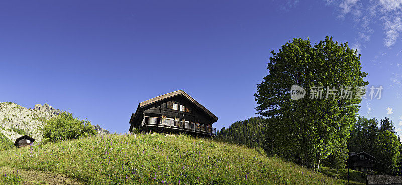 田园诗般的阿尔卑斯小木屋夏季草甸山脉全景