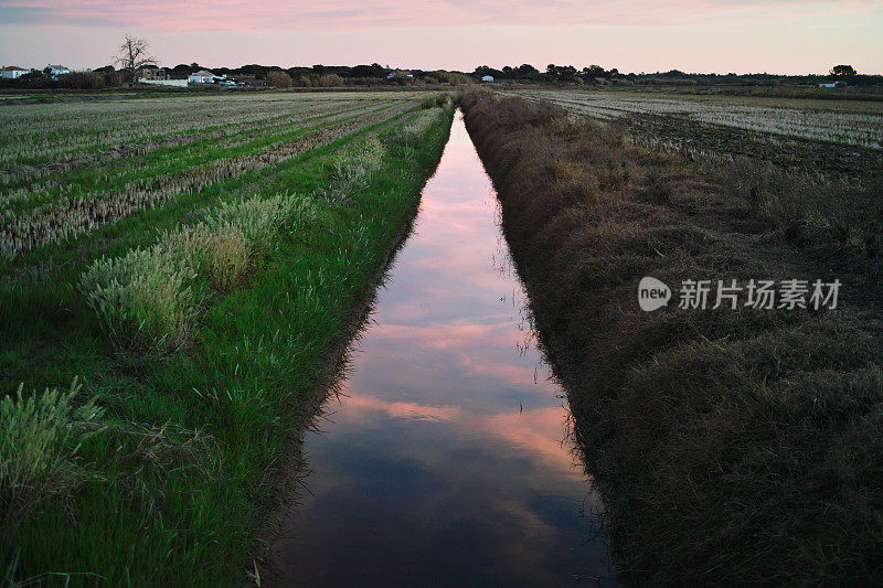 葡萄牙的稻田沟渠