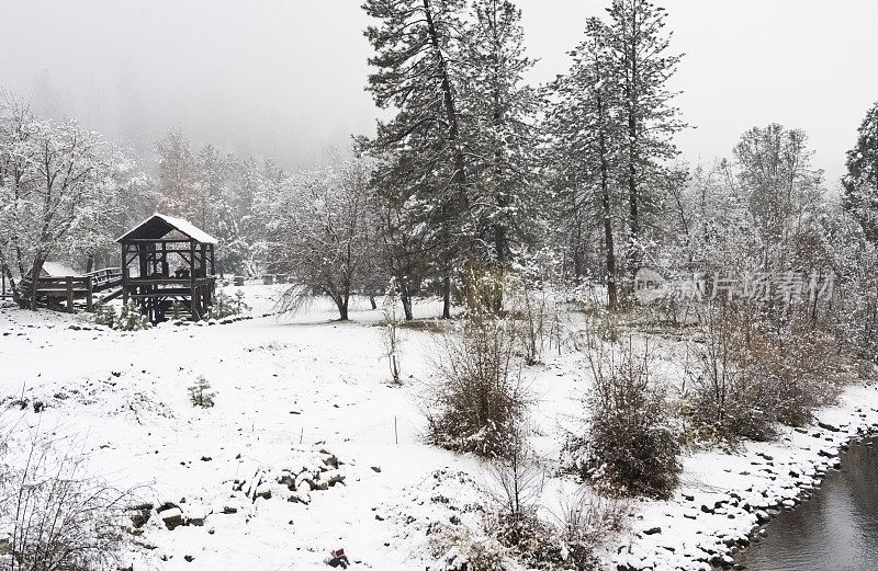 雪中的锯木厂