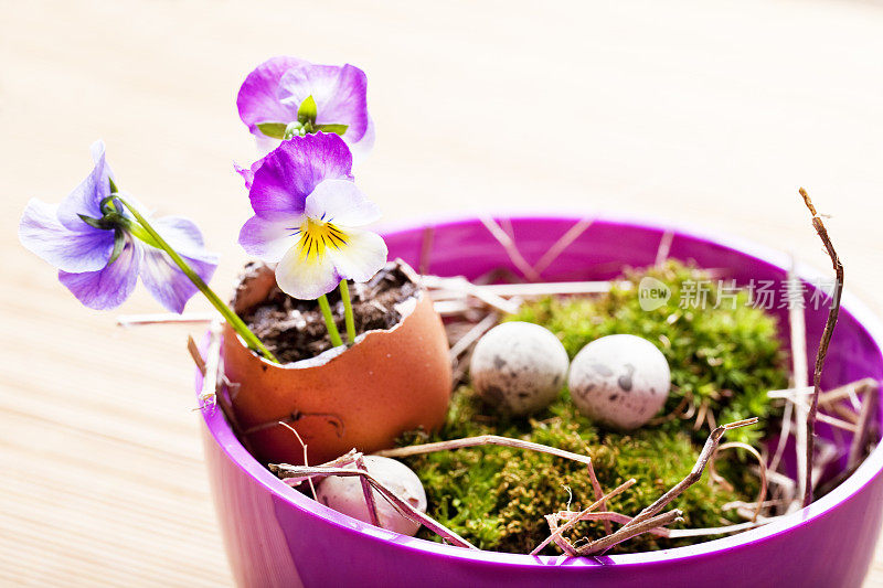 花，蛋和苔藓在碗里