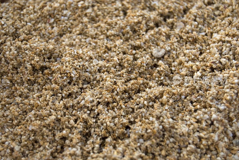 详细的砂颗粒