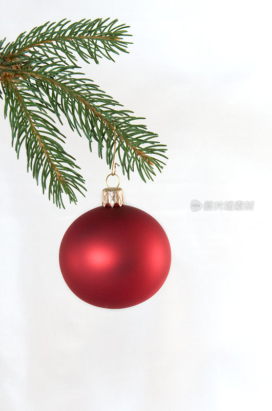 红色的圣诞树球在冷杉树枝上