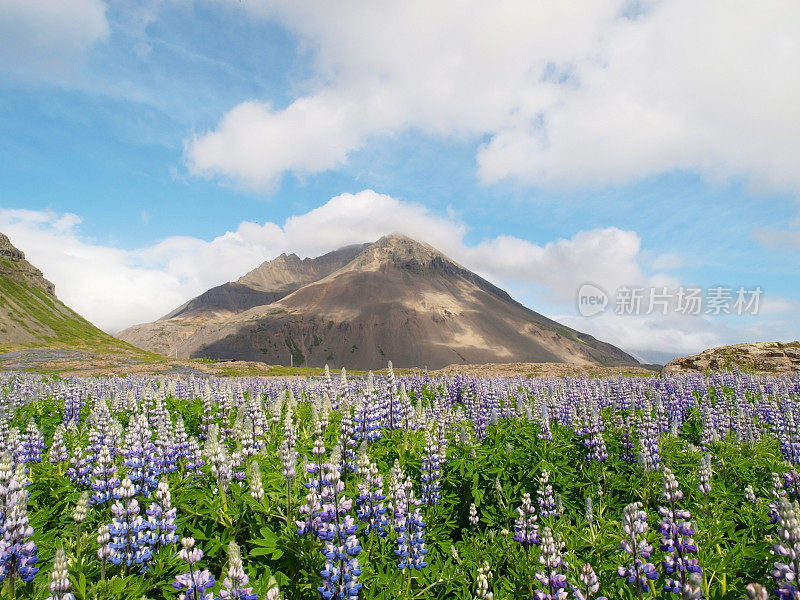 卢平和山地