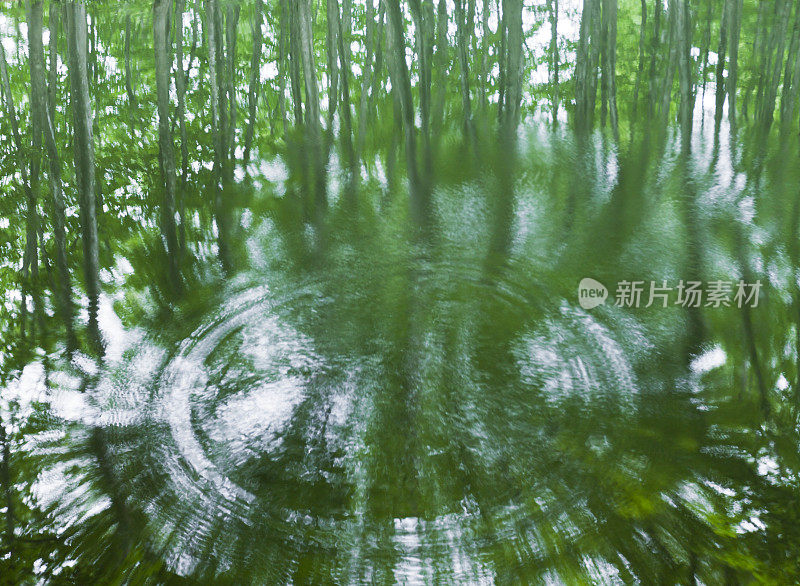 水波纹