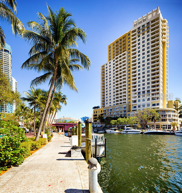 佛罗里达州劳德代尔堡现代公寓楼和棕榈树运河