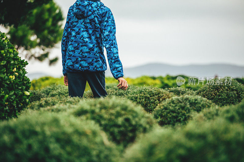 男孩摸着小圆灌木