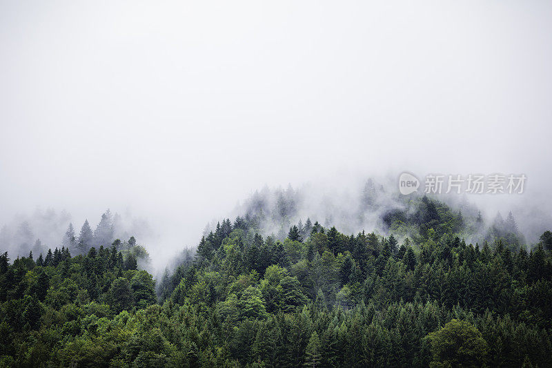 云中阿尔卑斯山山脉的全景