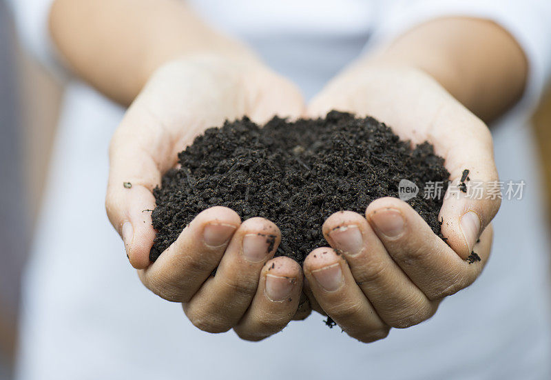 女人双手捧着泥土