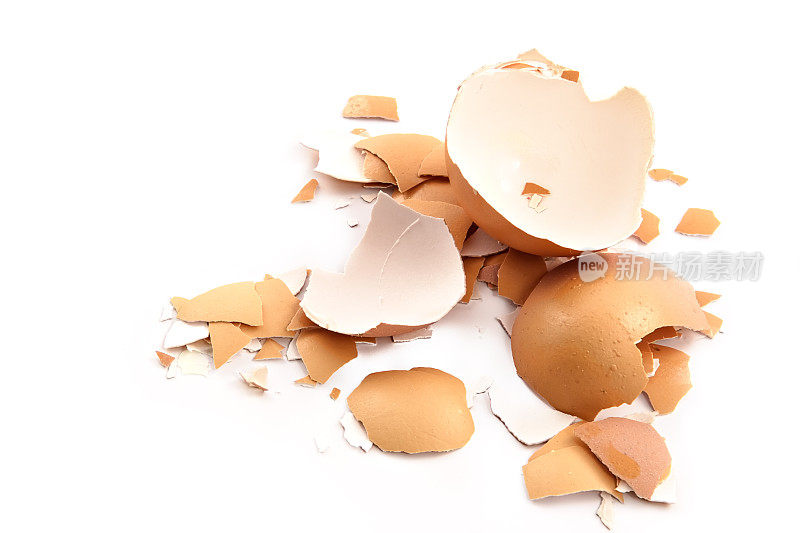 碎蛋壳的碎片