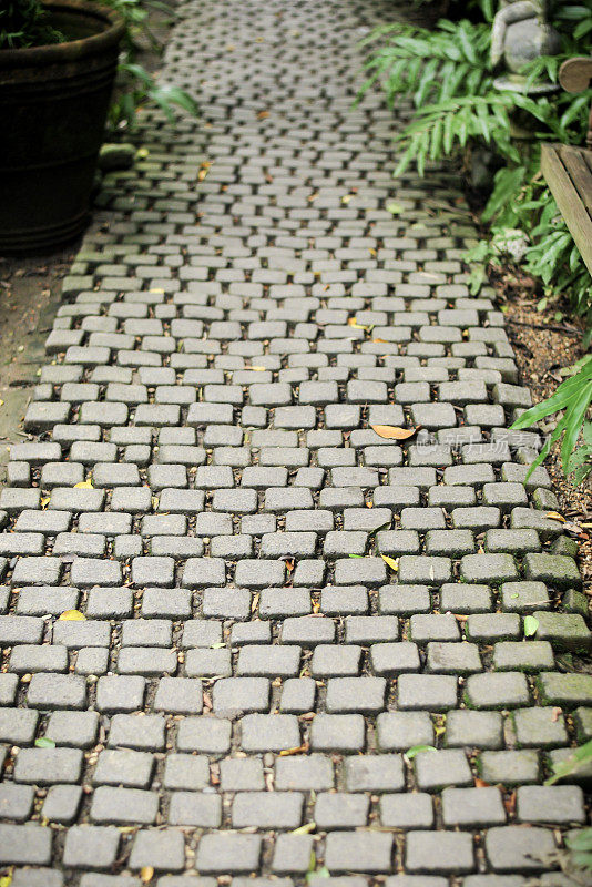 热带花园中的砖砌步道