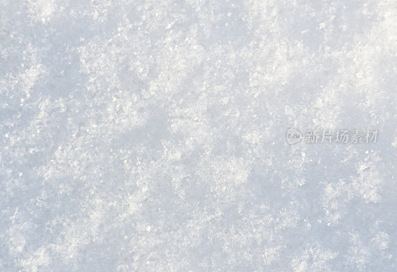 新鲜的雪