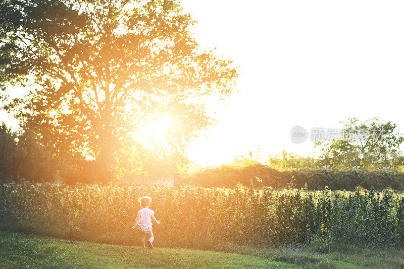 蹒跚学步的女孩在乡村农舍的草地后院里玩耍