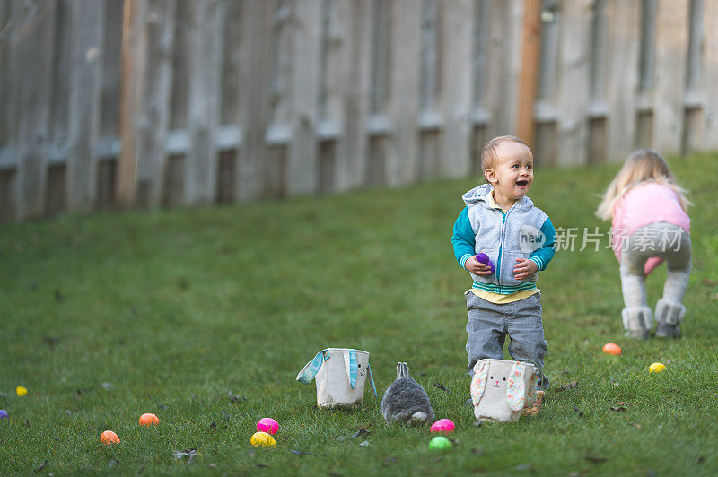在后院寻找复活节彩蛋的兔子!