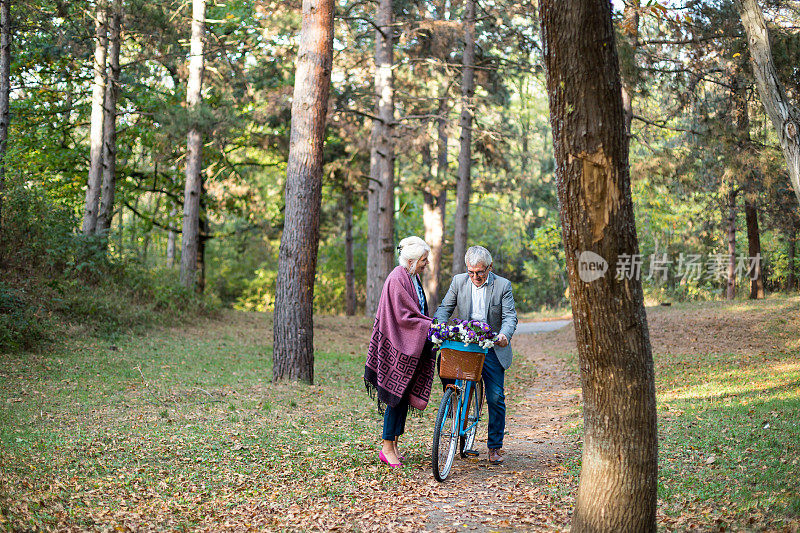 美丽的白种老夫妇在秋天的公园里