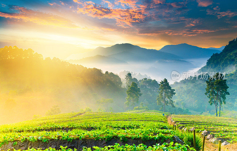 泰国北部的山景，日出和薄雾