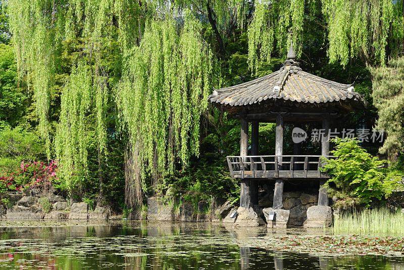 琶洲城墙花园植物园