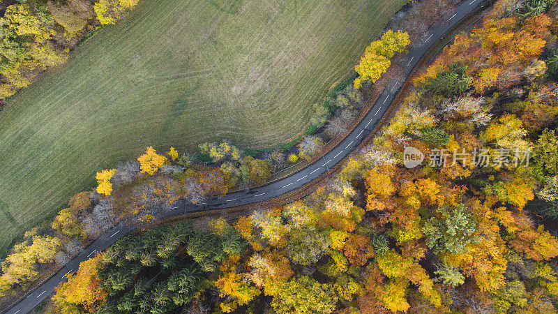 穿越秋天森林的道路-鸟瞰图