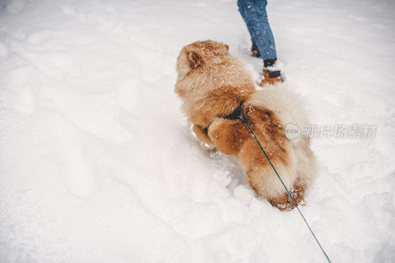 雪中的聚会时间